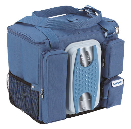 bolsa termoelétrica