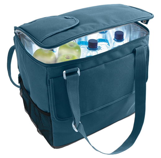 bolsa termoelétrica